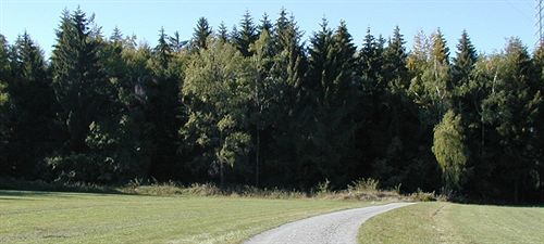 Hotel Am Bad-Wald Bad Liebenzell Eksteriør bilde