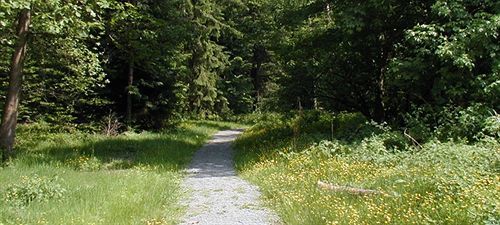 Hotel Am Bad-Wald Bad Liebenzell Eksteriør bilde